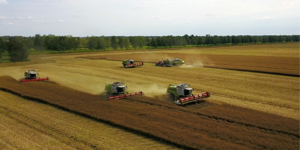 Lielākā lauksaimniecības kultūru ražība pērn bija Dobeles, Aizputes un Neretas novados.