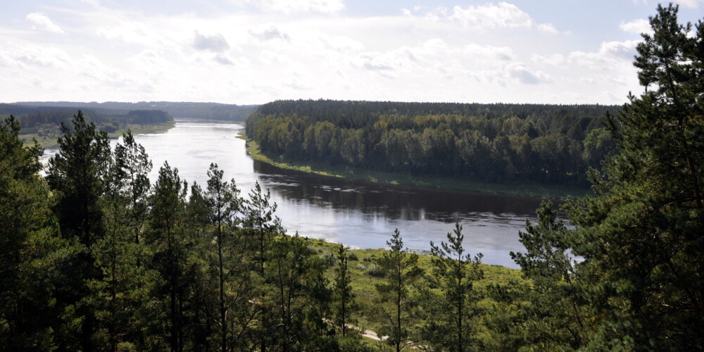 Dabas liegumā "Lielie Kangari" top viens no Latvijā augstākajiem dabas skatu torņiem