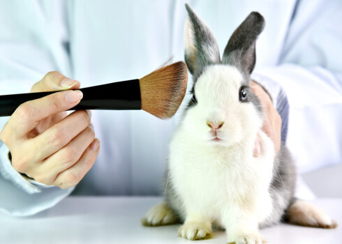 Populārais zīmols "Dove" iegūst PETA sertifikātu, ka savu kosmētiku neizmēģina uz dzīvniekiem