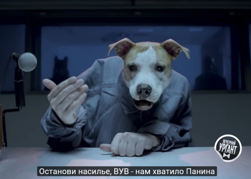 Видео дня: Иван Ургант высмеял Анастасию Волочкову за жестокое обращение с животными