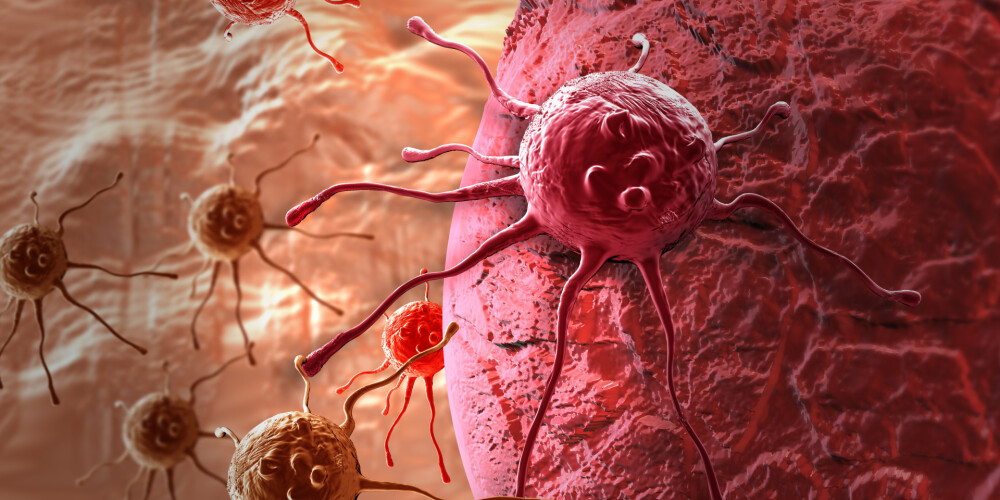 Zāles, kas iznīdēs tikai vēža šūnas, bet veselās atstās neskartas - tuva nākotne?