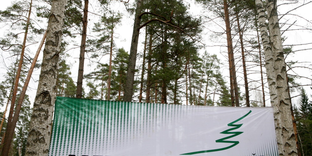 Latvijas valsts meži с 2002 года зарегистрировало в земельной книге 23% территории Латвии