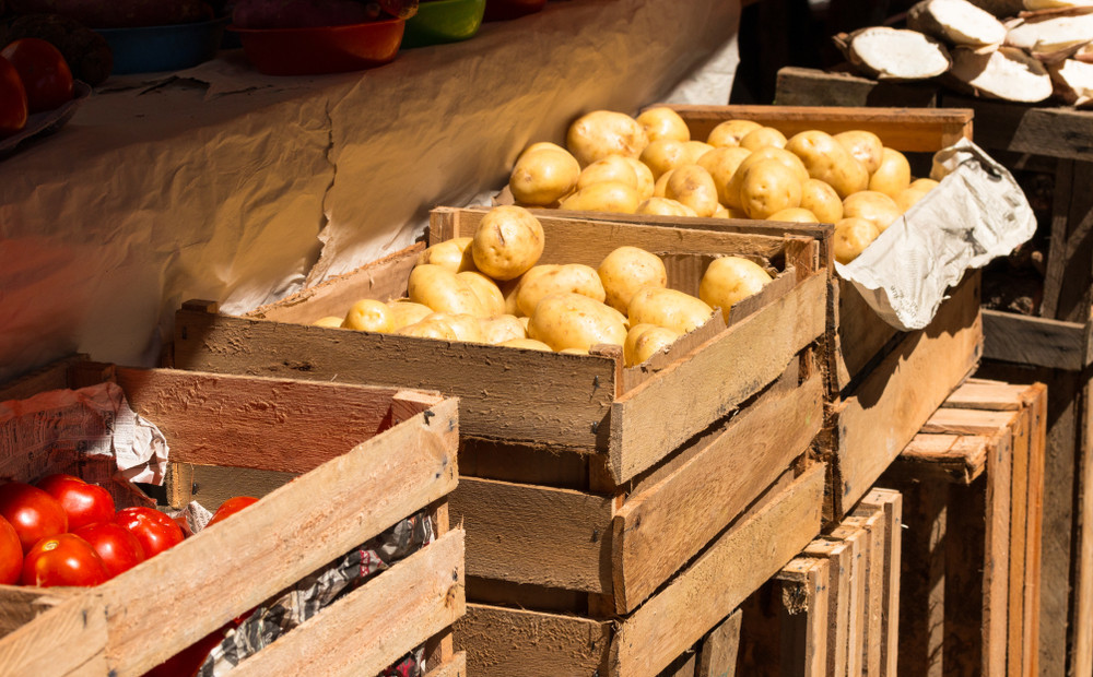 5 padomi, kā pareizi uzglabāt kartupeļus