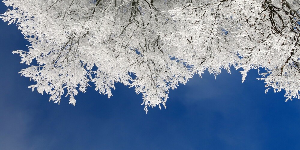 Sinoptiķi svētkos prognozē dziļāko sniegu kopš pagājušās ziemas