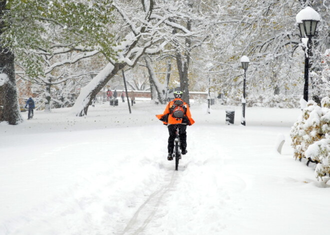 Из-за снегопада задержки общественного транспорта в Риге составляют до 15 минут