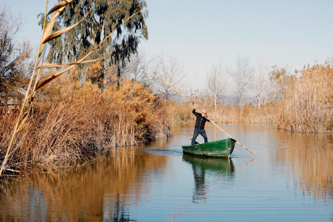 Ebro upes deltas biosfēras rezervātā.