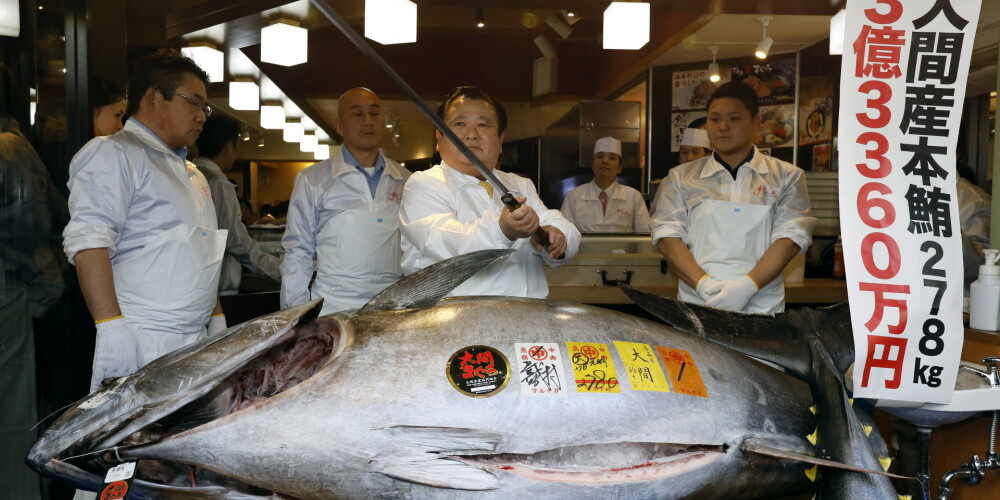 278 kilogramus smags tuncis izsolē Japānā tiek pārdots par neticami lielu cenu