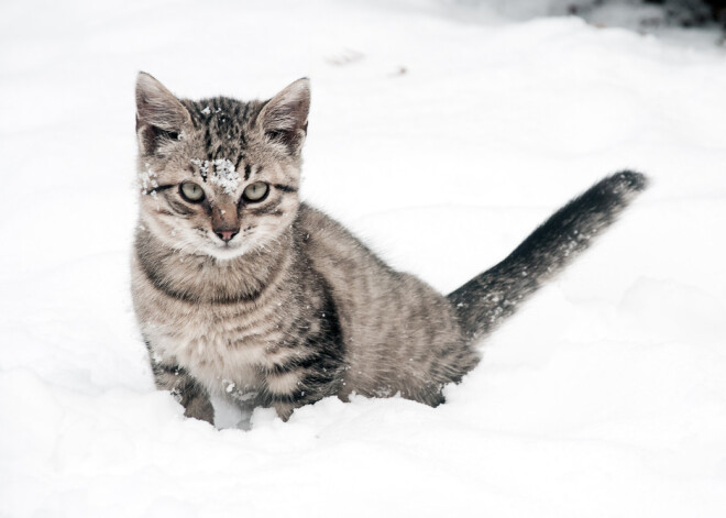Tavs horoskops šodienai. Svētdiena, 13. janvāris