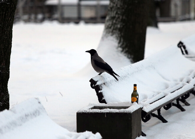 FOTO: tik daudz sniega šoziem Rīgā vēl nebija bijis