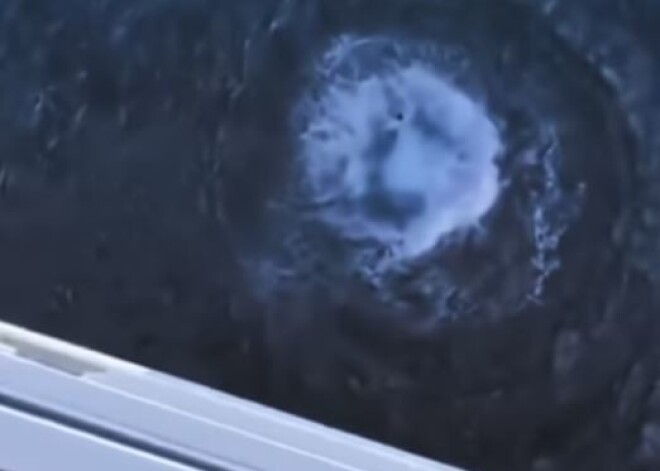VIDEO: iereibis jaunietis sarīko haosu pēc 30 metru lēciena jūrā no kruīza kuģa Bahamu salās