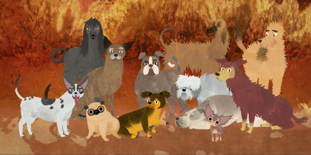 Tik daudz suņu! Animācijas filmas «Jēkabs, Mimmi un runājošie suņi» recenzija