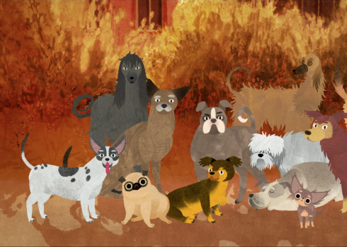 Tik daudz suņu! Animācijas filmas «Jēkabs, Mimmi un runājošie suņi» recenzija