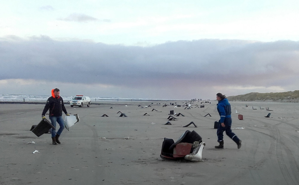 Nīderlandes krastos masveidā izskalo beigtus jūras putnus - mēneša laikā miruši jau 20 tūkstoši