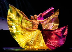 FOTO: dejotājas Vijas Vētras dzimšanas dienu atzīmē ar labdarības koncertu
