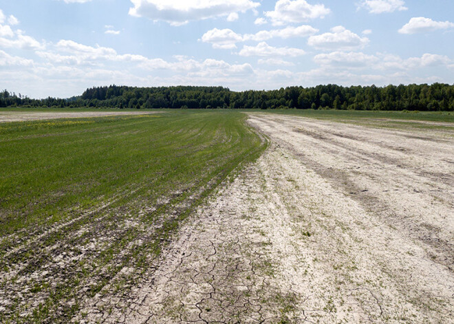 Plāno nodrošināt iespēju Latvijā apdrošināt lauksaimniecības platības pret sausumu