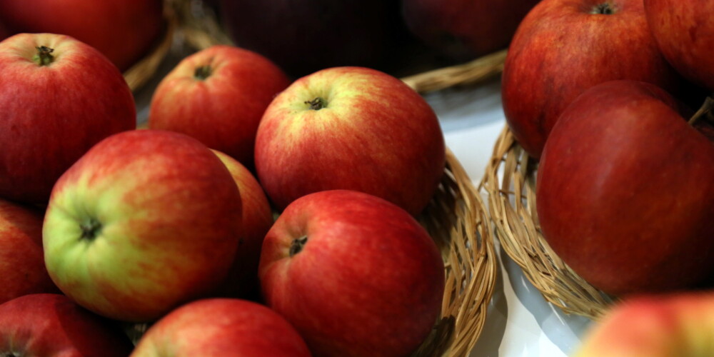 "101 ābols Latvijai" - nākamnedēļ notiks Latvijā audzētu ābolu izstāde
