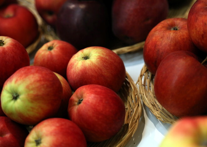 "101 ābols Latvijai" - nākamnedēļ notiks Latvijā audzētu ābolu izstāde