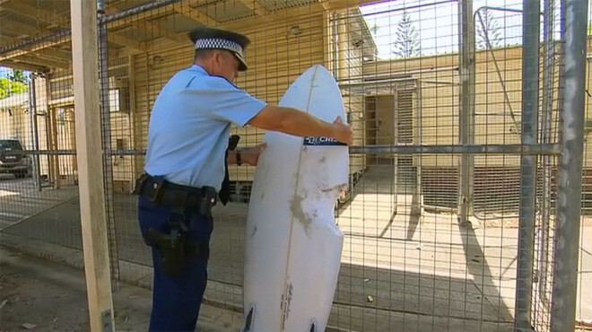 Policisti veic uz dēļa atstātā koduma mērījumu, lai noskaidrotu kāda haizivs sērfotājam uzbrukusi.