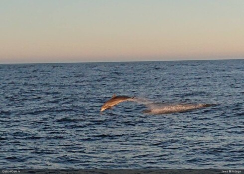 Īpašo notikumu fotogrāfijā fiksējusi Ieva Mārdega.