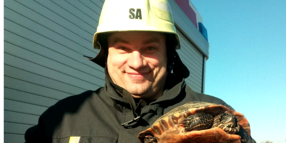 Спасателей в Салдусе вызвали, чтобы спасти черепаху во льду