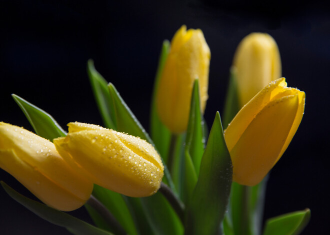 Tavs horoskops šodienai. Pirmdiena, 4. marts