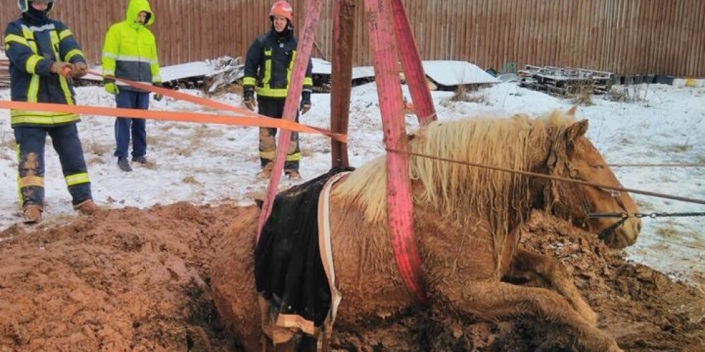 Ugunsdzēsēji Siguldas novadā no dubļiem izvilkuši ķēvi