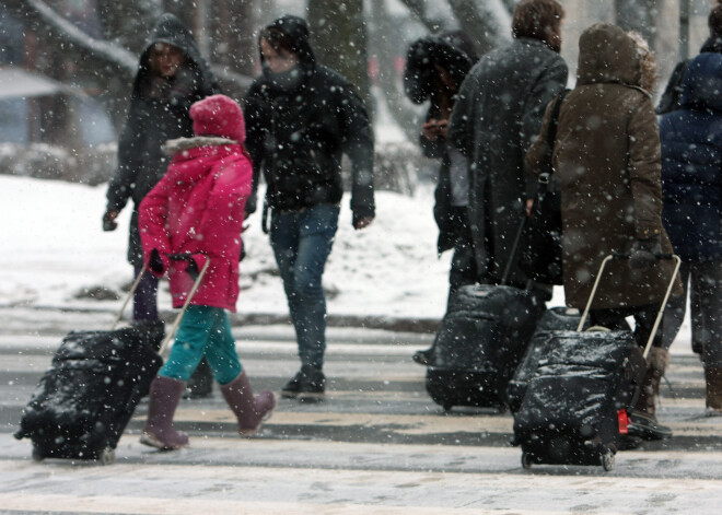 Aptauja: uz Latviju galvenokārt vēlas atgriezties izglītoti cilvēki ar vēlmi uzsākt biznesu