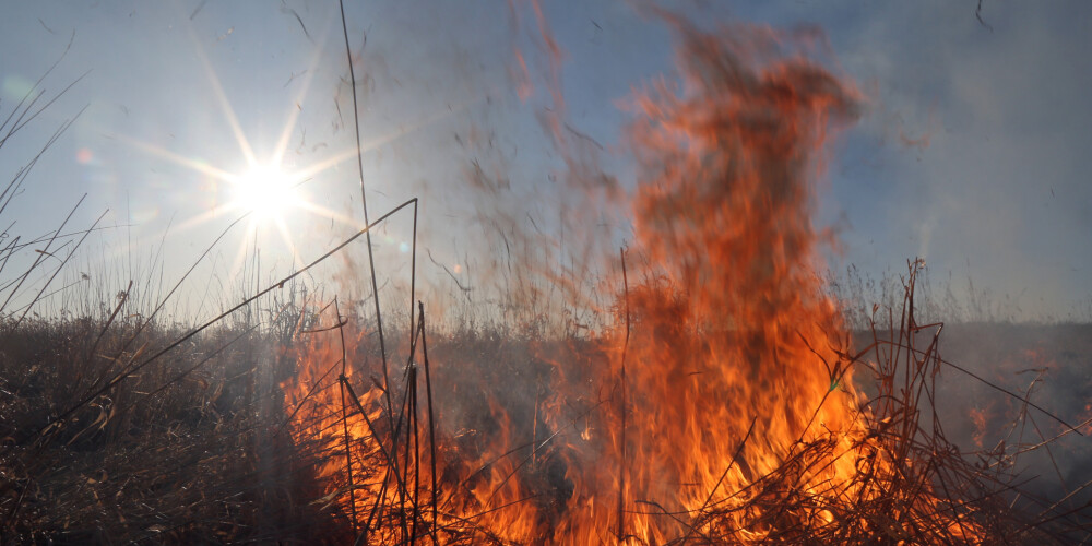 Sestdien reģistrēts šī gada kūlas ugunsgrēku rekordskaits; Jelgavas pusē, cīnoties ar uguni, cieš cilvēks