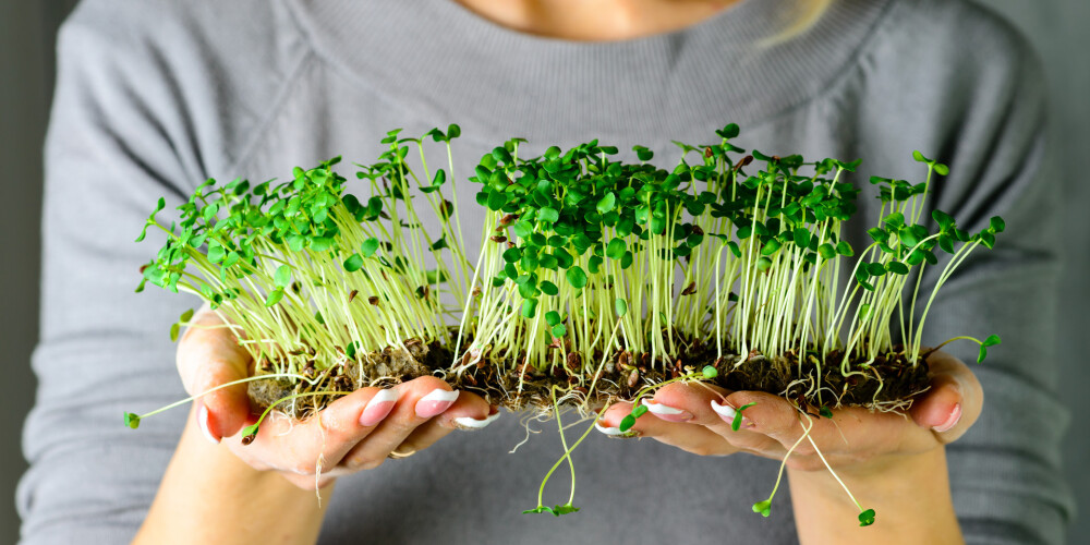 Erkaklar erkaklar bilan jinsiy aloqa video Yotgan kokrak fotosurati