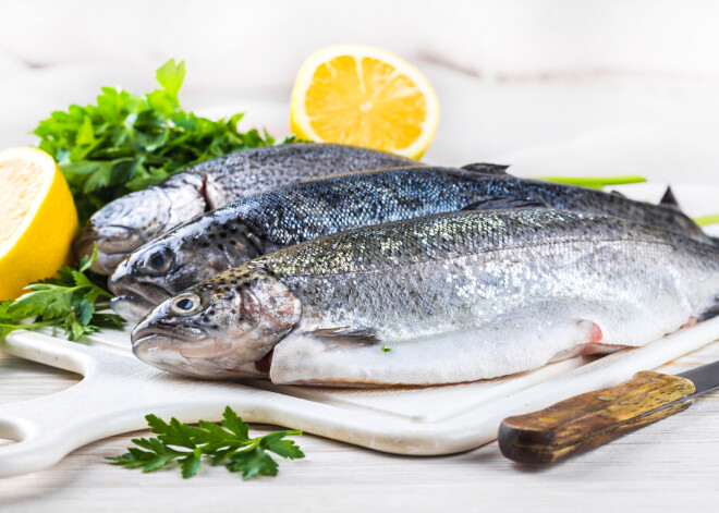 Медики назвали сорта рыбы, которые не стоит покупать ни при каких обстоятельствах