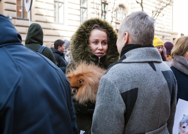 Rēzijas Kalniņas atbalstītais dzīvnieku tiesību pikets pārcelts uz vēlāku laiku