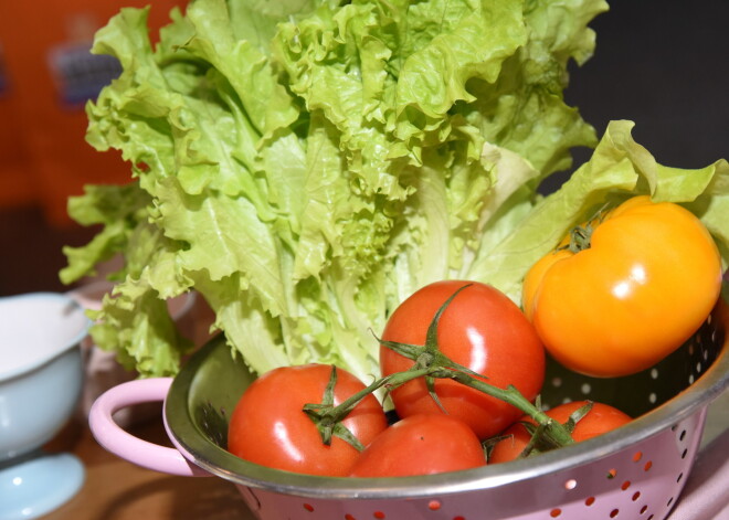 Институт агроресурсов и экономики: цены на продукты питания в ближайшие месяцы останутся стабильными