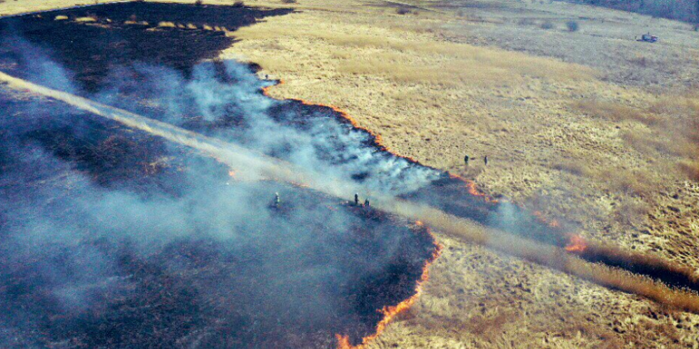 Izdevies lokalizēt bīstamo kūlas ugunsgrēku Spilves pļavā; cietuši divi glābēji