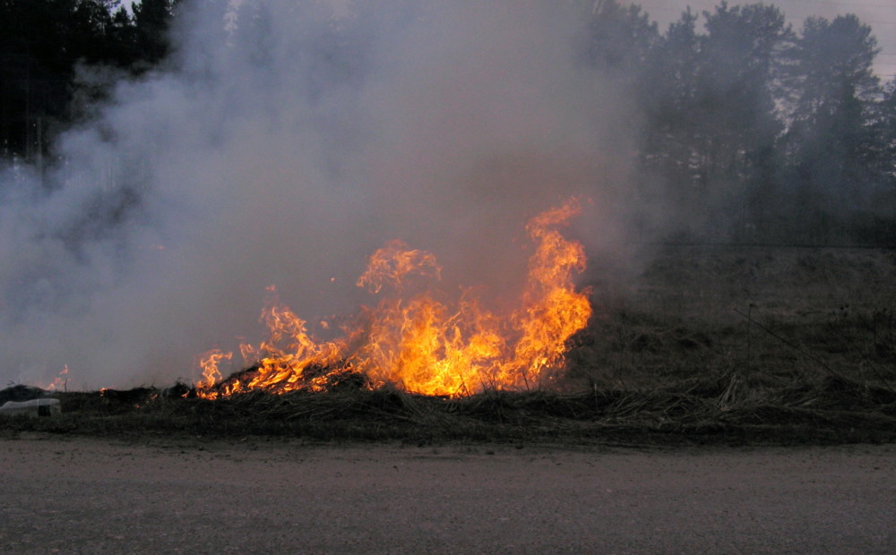 Sinoptiķi un ugunsdzēsēji bažījas, ka kūlas ugunsgrēku skaits šodien var sasniegt pēdējo gadu rekordu
