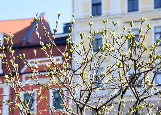 Kāds laiks būs pirmdien?