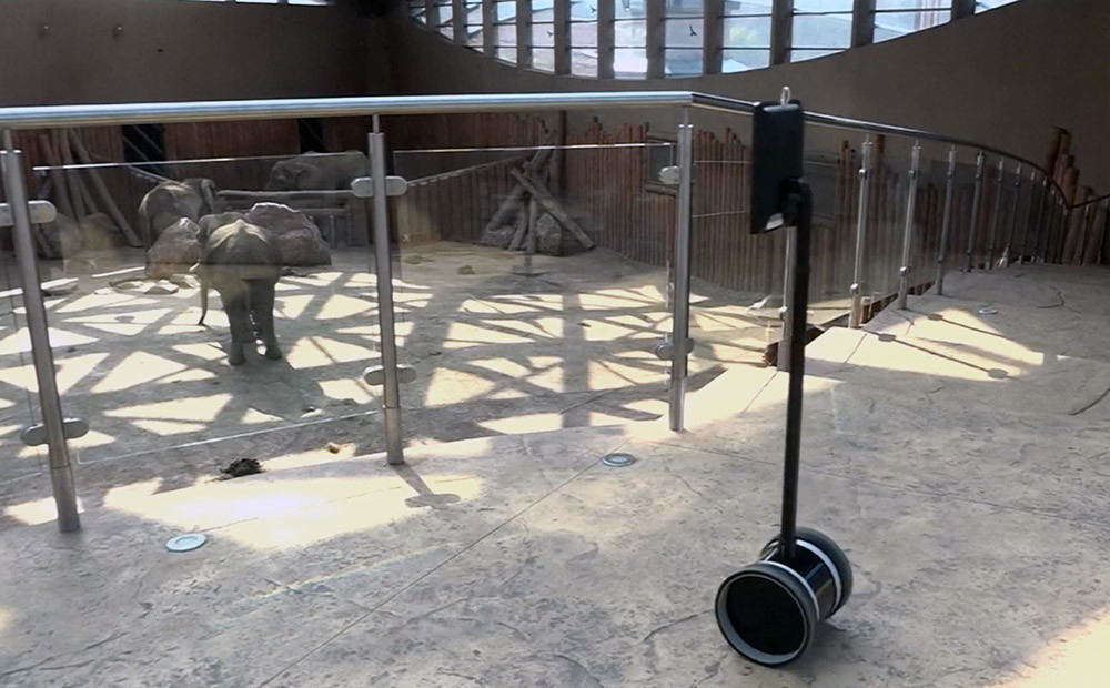 VIDEO: slimi bērni Polijā ar robota palīdzību var apmeklēt zooloģisko dārzu