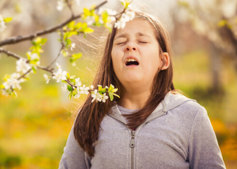 Pavasara alerģija. Kā to savaldīt?