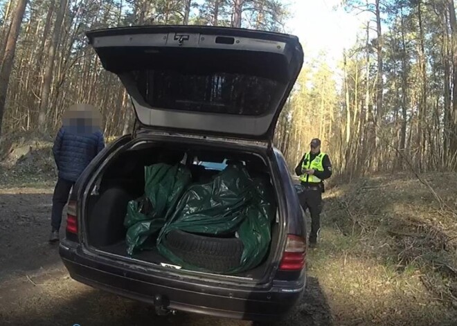 Kleistos pieķerts cūkmens, kurš mežā izmetis vecās riepas