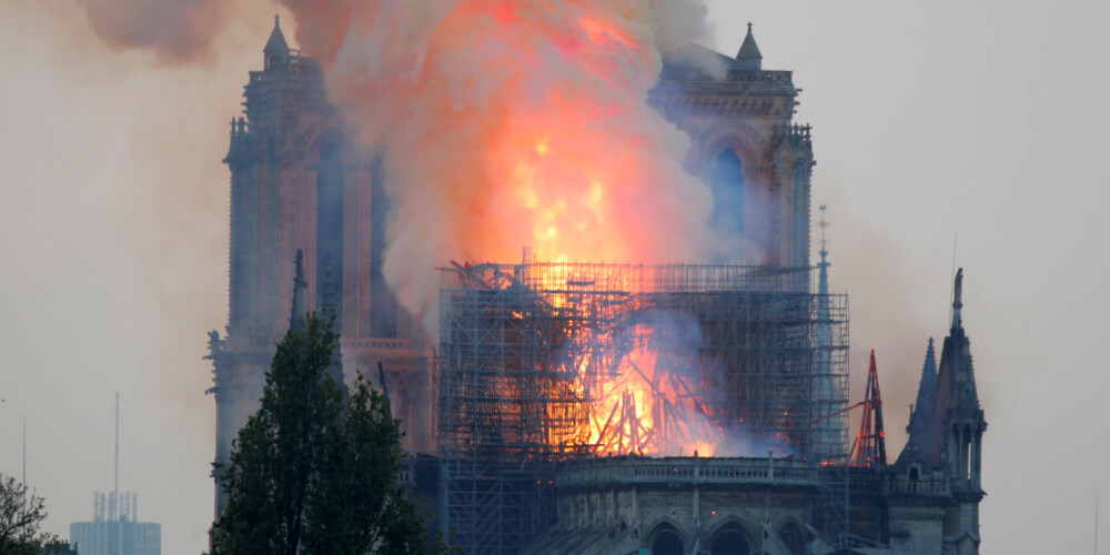 Parīzes Dievmātes katedrāles ugunsgrēkā izdzīvojušas 180 000 bites, kas stropos mitinājās uz jumta