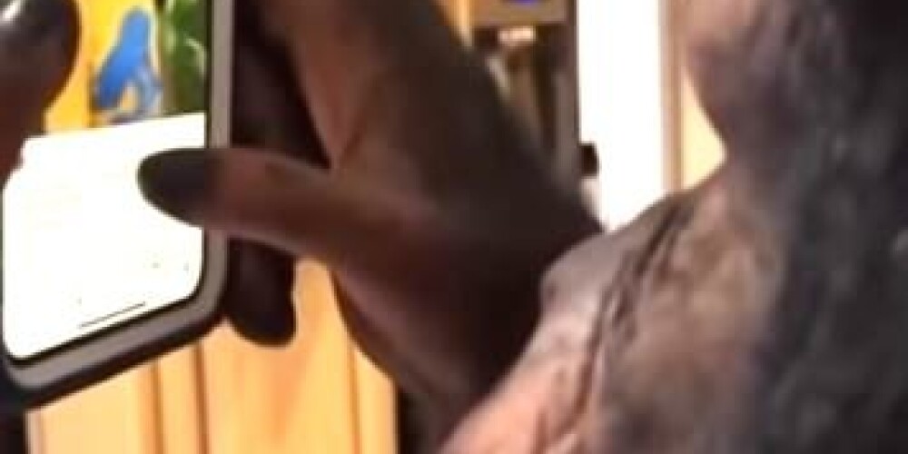 VIDEO: prasmīgs pērtiķis viedtālrunī pēta "Instagram" bildītes