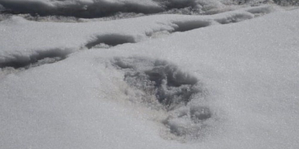 Indijas armija paziņo, ka atradusi leģendārā jetija jeb sniega cilvēka pēdu nospiedumus