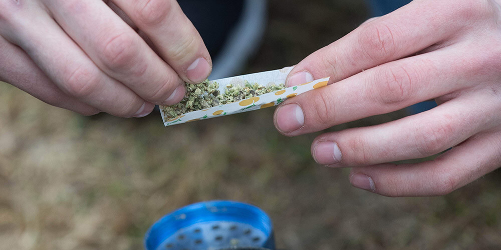 Kanādā krasi pieaudzis marihuānu pirmo reizi lietojušo cilvēku skaits