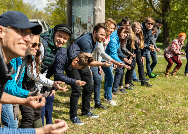 Kulturālo kartupeļu lauka atklāšana.