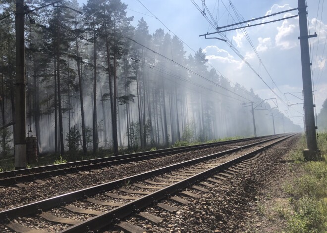 Ceturtdien Latvijā dzēsti 15 meža ugunsgrēki