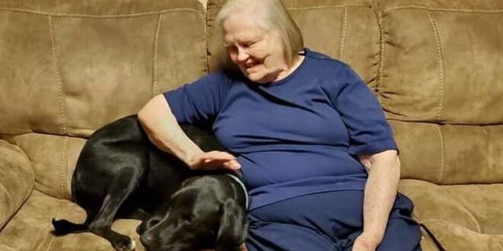 Бабушка была против пса, которого приютила внучка, но он доказал свою преданность и спас ей жизнь