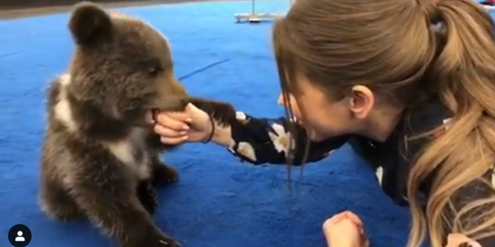 Юлия Барановская навлекла гнев защитников животных после видео с медвежонком