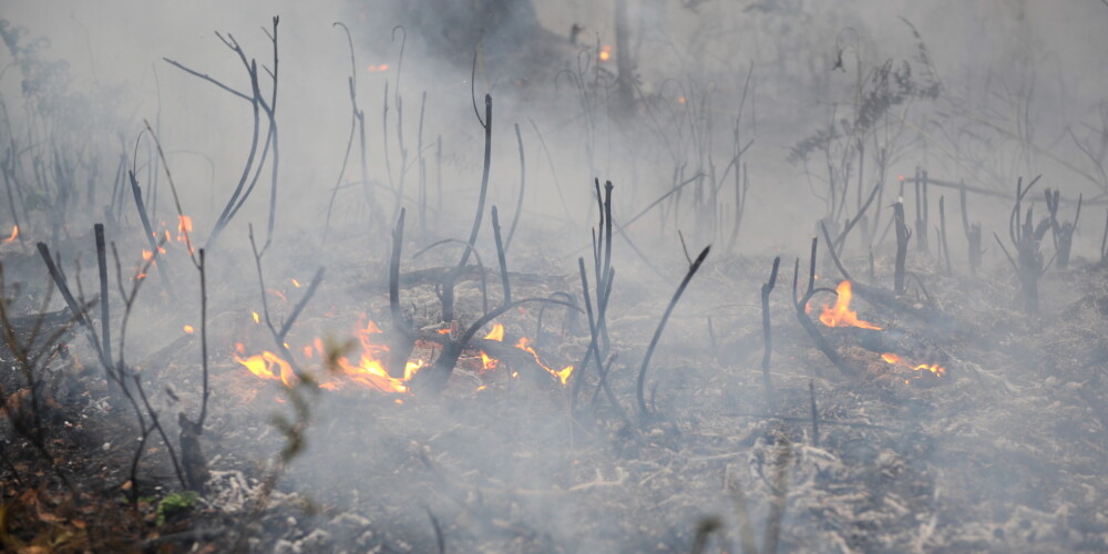 Turpina cīnīties ar meža ugunsgrēkiem Kandavā un Olainē; Kandavas mežā joprojām sprāgst kara laika lādiņi