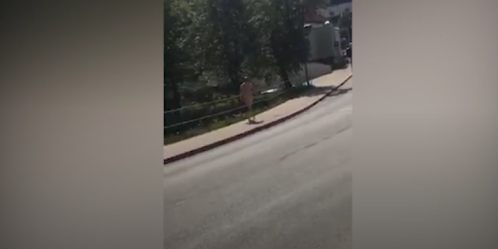 Видео: по улицам Валмиеры гуляет полностью голый мужчина