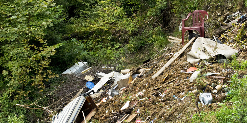 Рабочие в лесу под Кекавой, разгребая горы мусора, нашли нечто неприятное