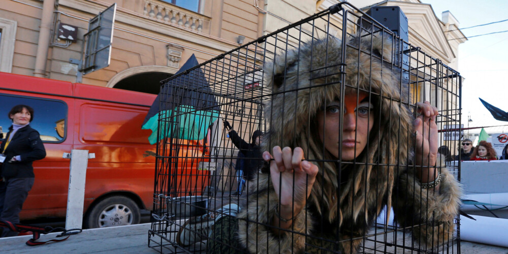 (Ilustratīvs foto) Dzīvnieku tiesību aktīviste akcijas laikā Sanktpēterburgā.